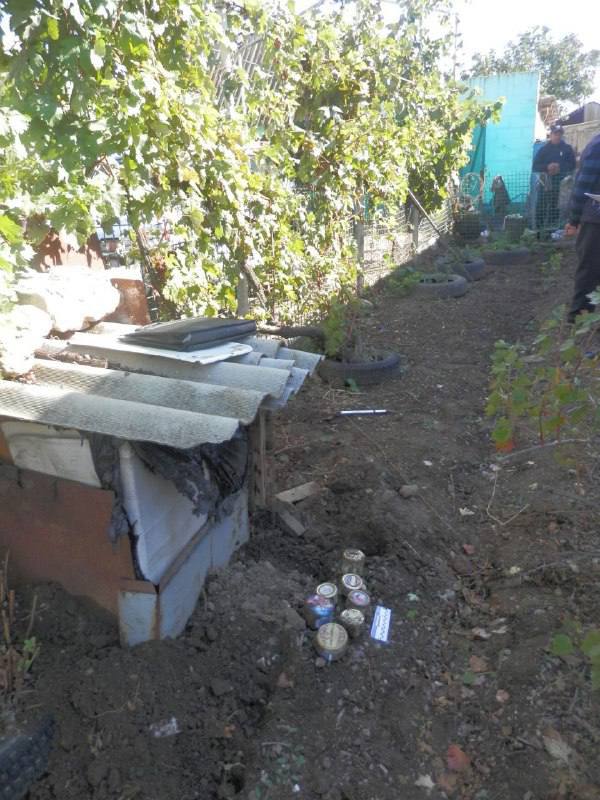 Их собачье дело: оккупанты раскрыли в Мелитополе очередное 